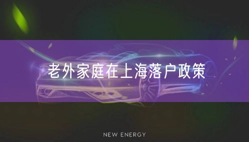 老外家庭在上海落户政策