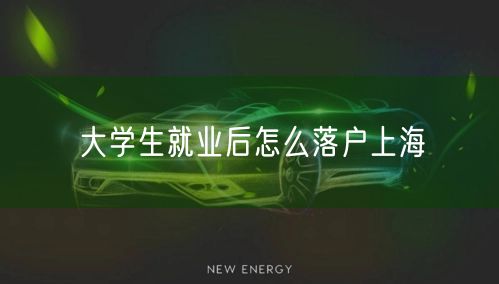 大学生就业后怎么落户上海