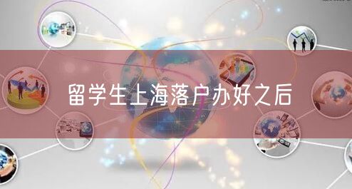留学生上海落户办好之后