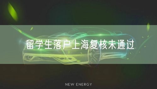 留学生落户上海复核未通过