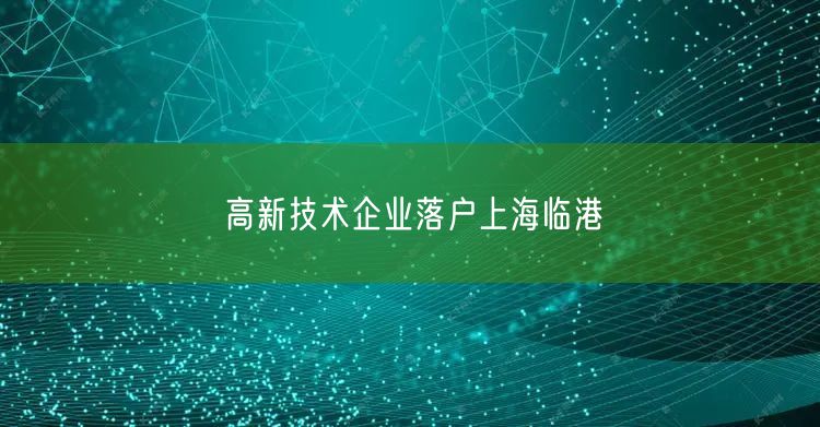 高新技术企业落户上海临港