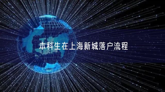 本科生在上海新城落户流程