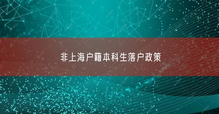 非上海户籍本科生落户政策