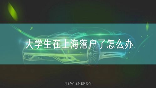 大学生在上海落户了怎么办