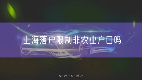 上海落户限制非农业户口吗