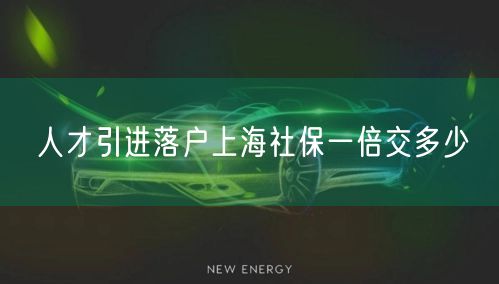 人才引进落户上海社保一倍交多少