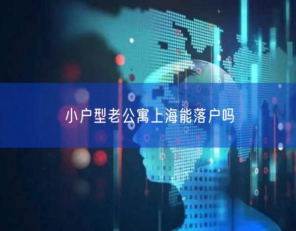 小户型老公寓上海能落户吗
