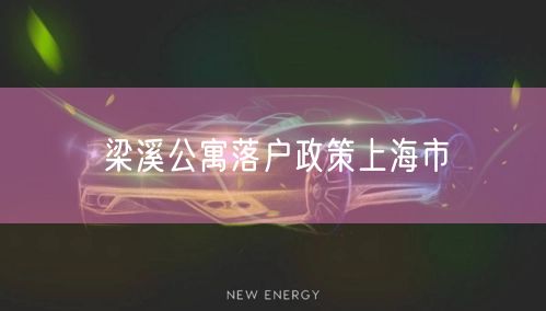 梁溪公寓落户政策上海市