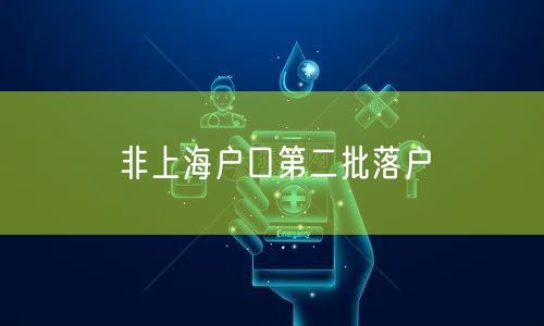 非上海户口第二批落户