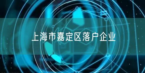 上海市嘉定区落户企业