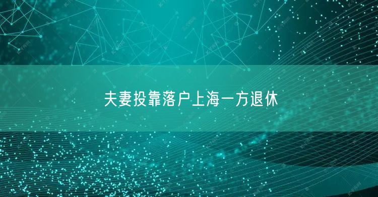 夫妻投靠落户上海一方退休