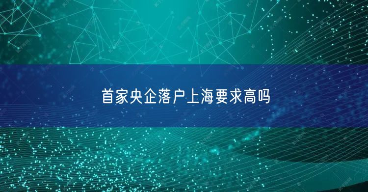 首家央企落户上海要求高吗