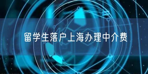 留学生落户上海办理中介费
