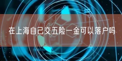 在上海自己交五险一金可以落户吗