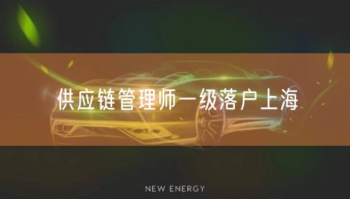 供应链管理师一级落户上海