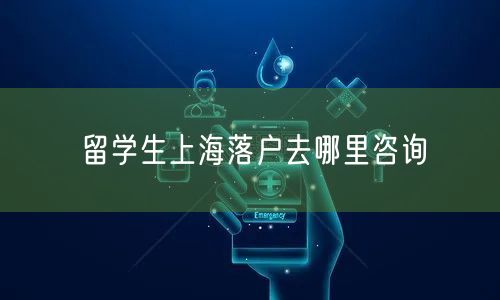 留学生上海落户去哪里咨询