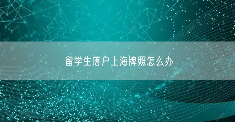 留学生落户上海牌照怎么办
