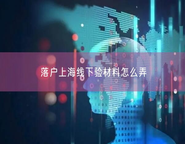 落户上海线下验材料怎么弄