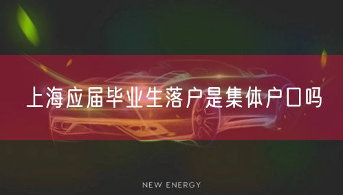 上海应届毕业生落户是集体户口吗