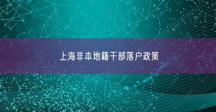 上海非本地籍干部落户政策