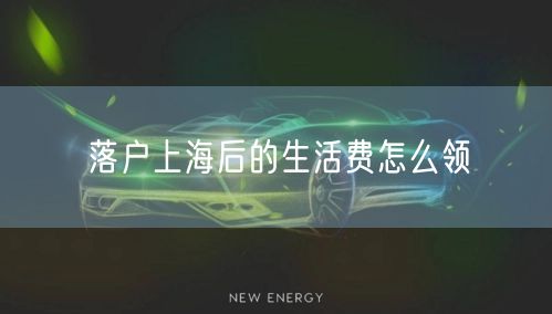 落户上海后的生活费怎么领