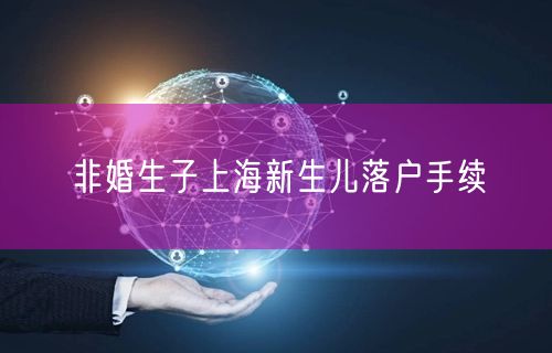 非婚生子上海新生儿落户手续