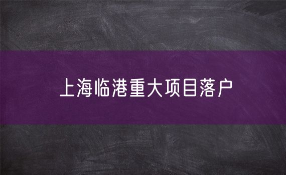 上海临港重大项目落户