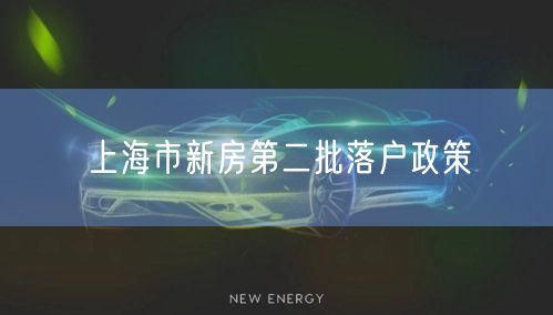 上海市新房第二批落户政策