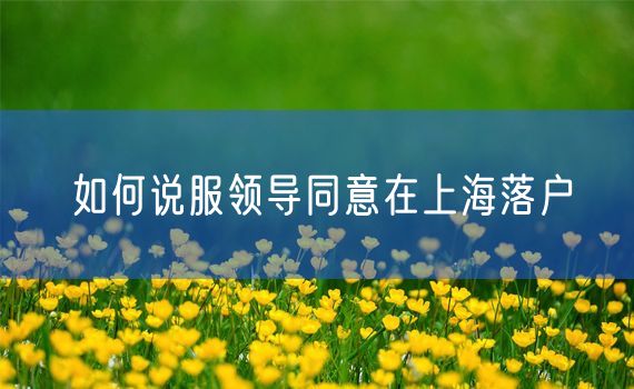 如何说服领导同意在上海落户