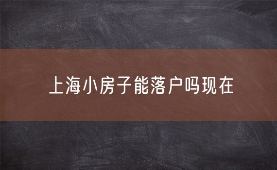 上海小房子能落户吗现在