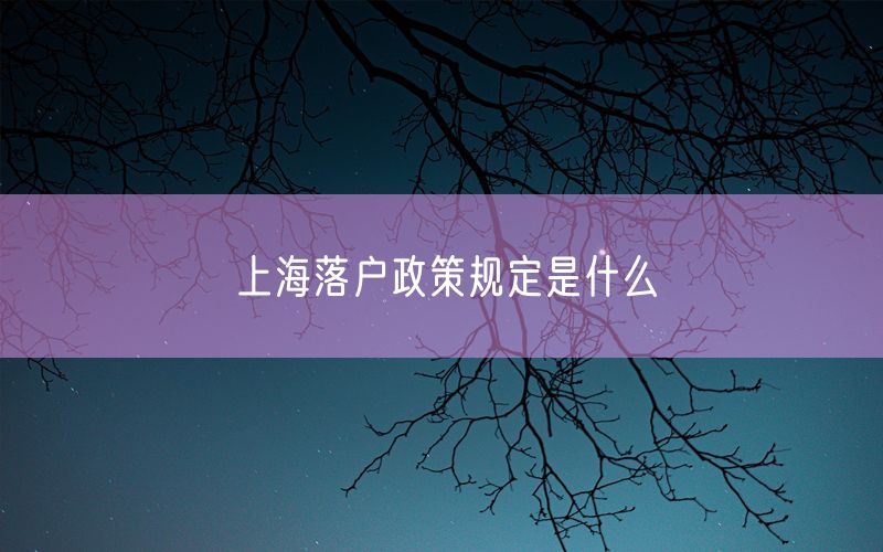 上海落户政策规定是什么