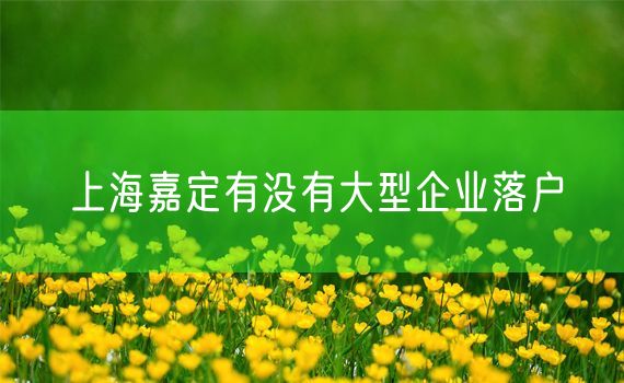 上海嘉定有没有大型企业落户