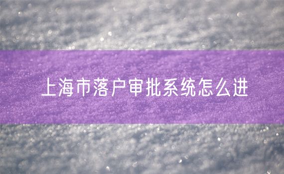 上海市落户审批系统怎么进