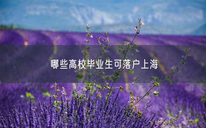 哪些高校毕业生可落户上海