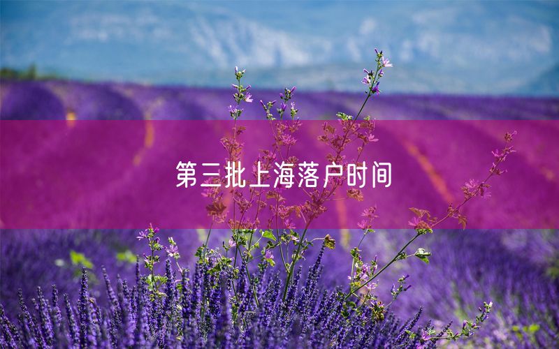 第三批上海落户时间