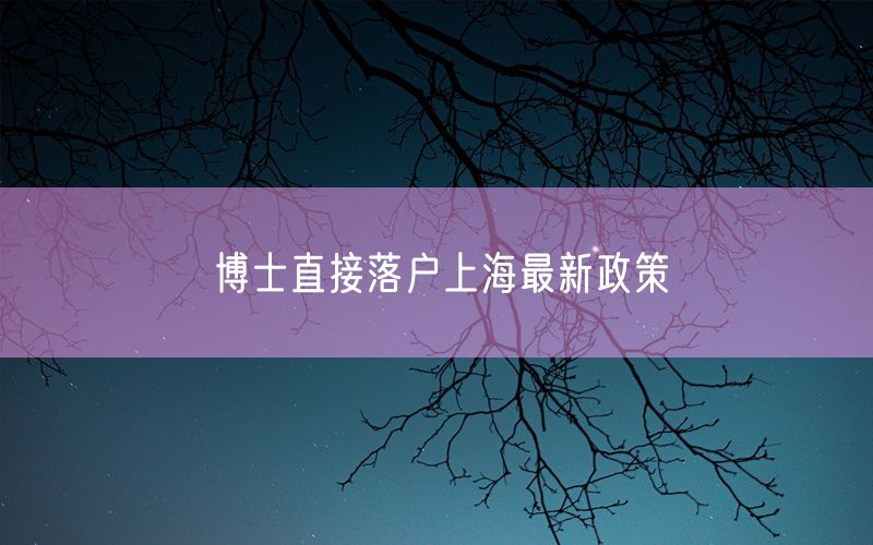 博士直接落户上海最新政策