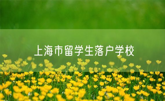 上海市留学生落户学校