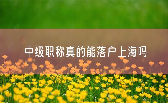 中级职称真的能落户上海吗