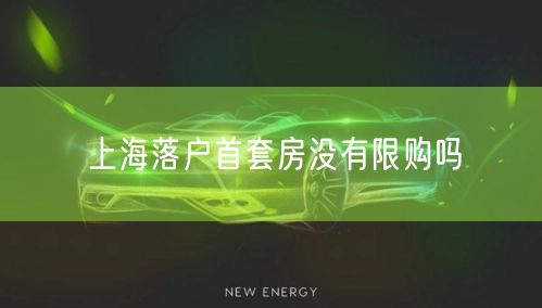 上海落户首套房没有限购吗