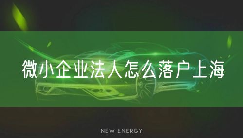 微小企业法人怎么落户上海