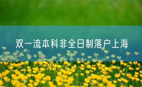双一流本科非全日制落户上海