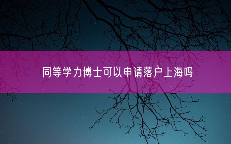 同等学力博士可以申请落户上海吗