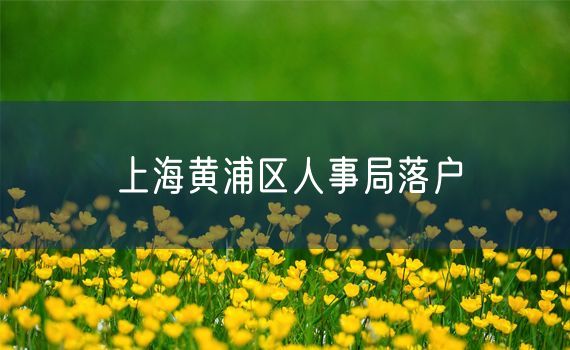 上海黄浦区人事局落户