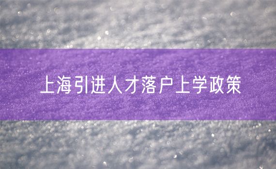 上海引进人才落户上学政策