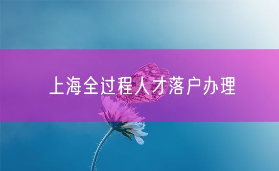 上海全过程人才落户办理