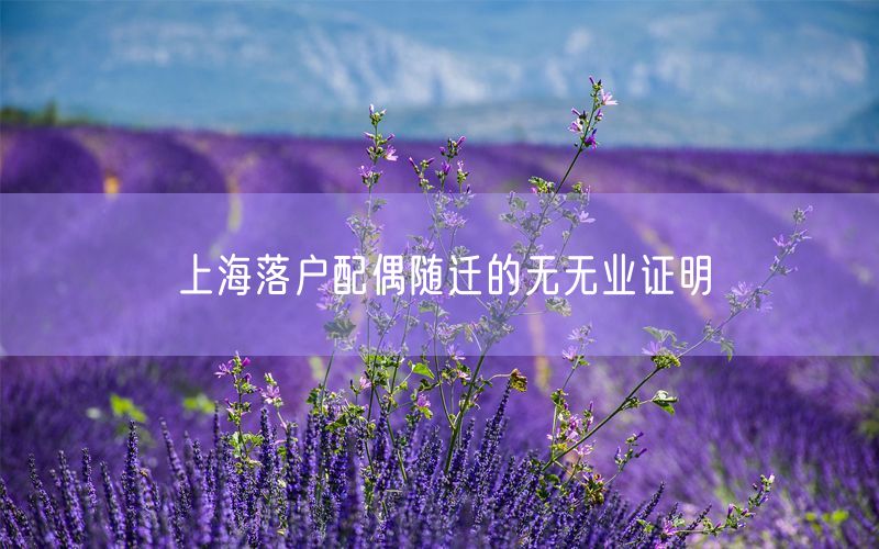 上海落户配偶随迁的无无业证明