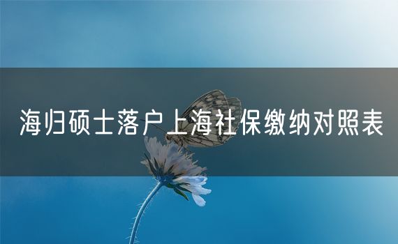 海归硕士落户上海社保缴纳对照表