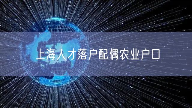 上海人才落户配偶农业户口