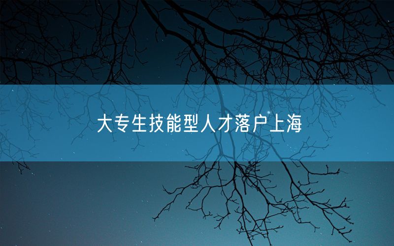 大专生技能型人才落户上海
