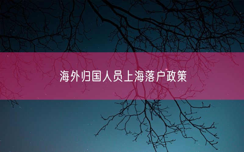 海外归国人员上海落户政策